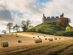 Zamek Hume Castle, Siano, Drzewa, Ruiny, Szkocja, Pole